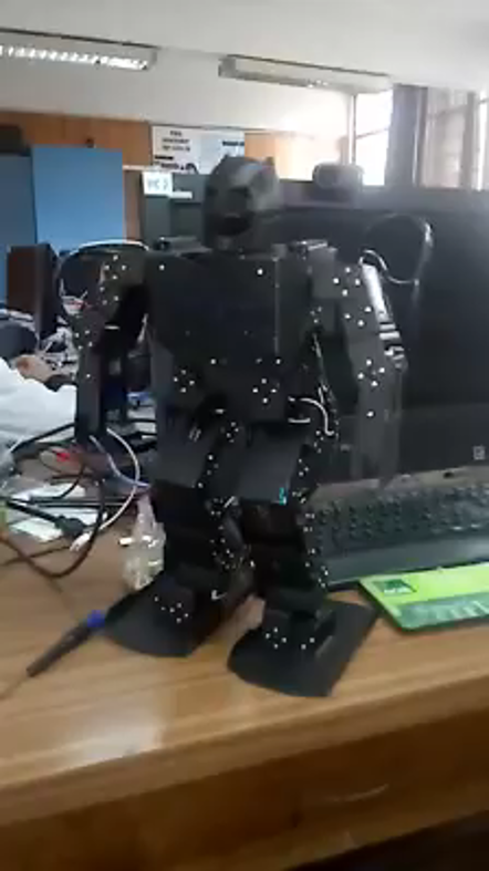 Robot Boxeo