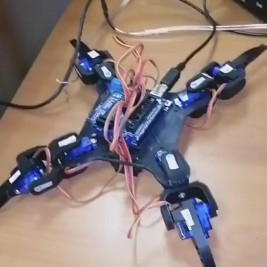 Robot Insecto